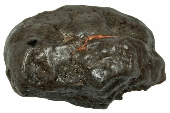 Lunar Meteorite ( g) Section - Touat #303590